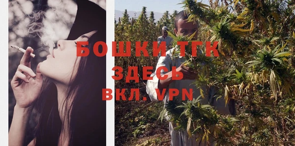 мдпв Володарск