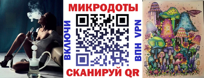 Купить где  Порхов  Галлюциногенные грибы Cubensis 